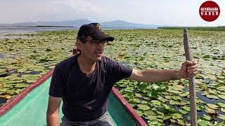 TÜRKİYENİN EN BÜYÜK NÜLÜFER BAHÇESİNİ GEZMEK İSTERMİSİNİZ