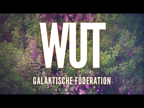 💫 DER GALAKTISCHEN FÖDERATION 💫 - WUT - Channeling