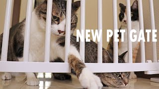 We have a baby! / New pet gate