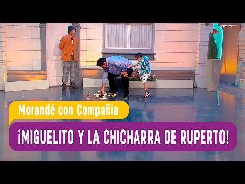 Miguelito y la chicharra de Ruperto   Morandé con compañía 2016