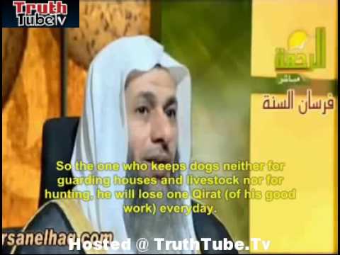 Cleric Says Muslims Are Forbidden To Keep Dogs.  TruthTube.Tv