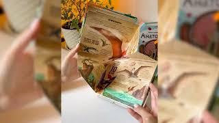 Книжка-трансформер. Динозавры