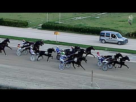 Aversa trotto 2 Gennaio 2021- 3° Corsa