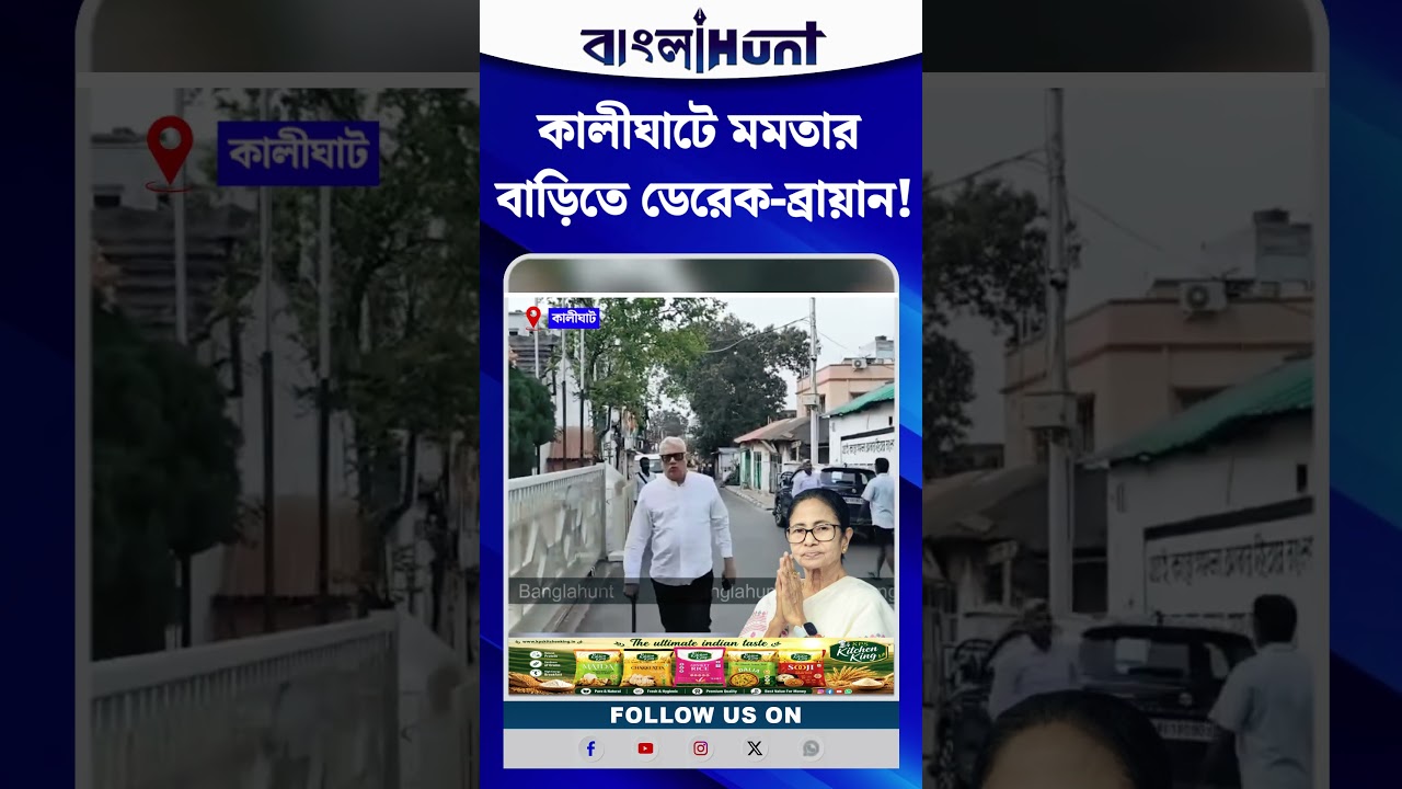 কালীঘাটে মমতার বাড়িতে ডেরেক-ব্রায়ান!