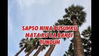 Download lagu SALAM MANIS KAROKE LAGU KARO mp3