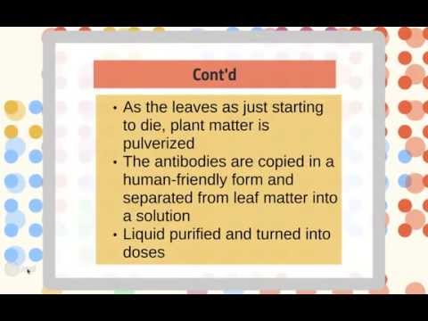 Current Research Directions In The Fight Against Ebola Simone s Bio Blahg current-research-directions-in-the-fight-against-ebola-simone-s-bio-blahg