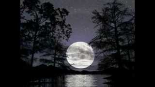 Una noche.-  Il Divo .