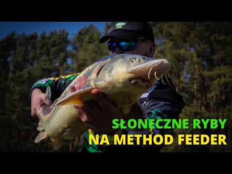 Słoneczne Ryby na Method Feeder