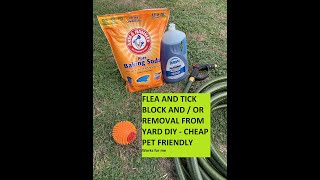 Flea and Tick In your yard Killer / Preventer DIY Cheap - works for me
