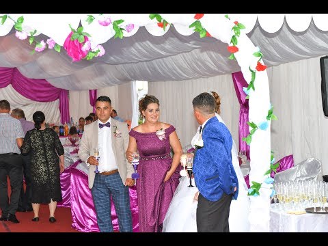 11 Primirea invitatilor la nunta