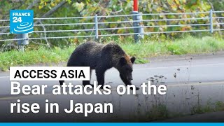 Japan escalates bear management amid record wildlife encounters near Tokyo