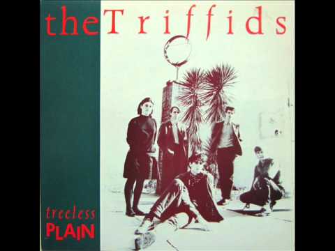 The Triffids - Red Pony (1983)