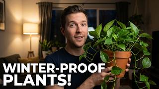 Winter Darkness Doesn't Stand a Chance Against These 7 Plants