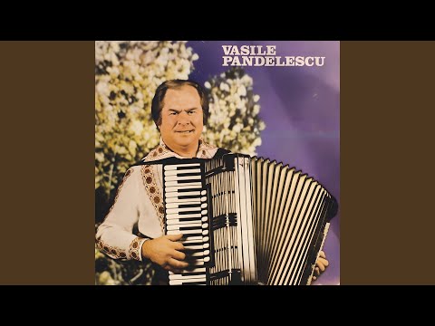 Tinerețea Mi S-a Dus