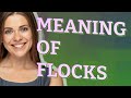 Flocks | meaning of Flocks