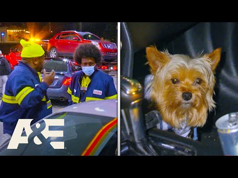 Towers Find A DOG Left in Car During Tow | Hustle & Tow | A&E