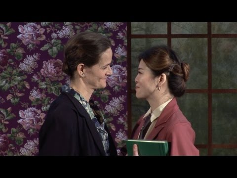 BULL IN A CHINA SHOP Montage