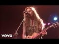 Ted Nugent - Carol (Live)