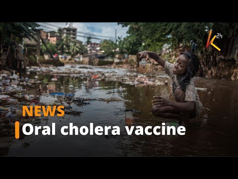 Cholera case load in the country now stands at 11,181