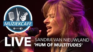 Sandra Van Nieuwland - Hum Of Multitudes video