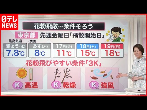 スギ科について詳しく解説