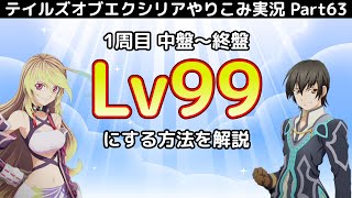 【テイルズ オブ エクシリア】Part63：ボス戦で永久コンボをしてLv99に！【トロコン&やり込み攻略解説実況】※ネタバレ注意