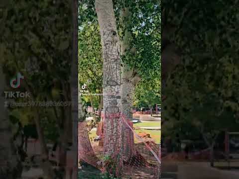 Carlos Paz - Córdoba,  tarde buscando Catamarán.  12/24