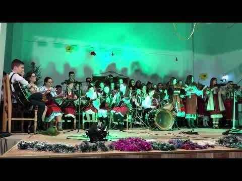 Colinde Negulesti 2019