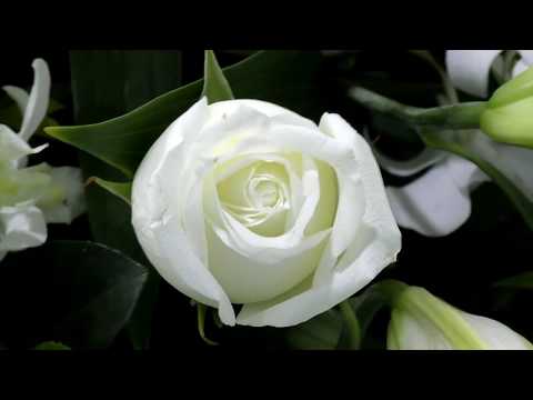 You're gone... Funeral Videography Services Sydney Australia