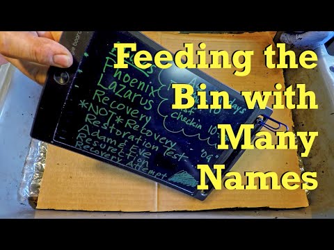 111-day *NOT Recovery* worm bin (my OG population) - vermicompost