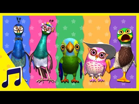 Canción de la Familia de las Aves | A Jugar