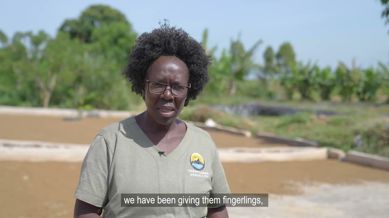 GreatLakes Feeds — Our Story