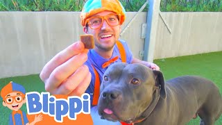 Blippi Visits an Animal Shelter!  🐕‍🦺  Blippi  🐕‍🦺  Moonbug Kids - Learning Corner