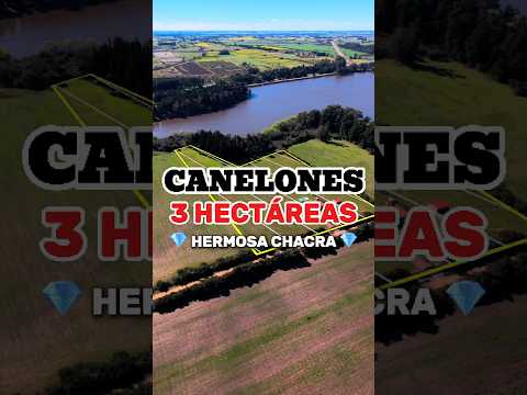 Chacra en Venta en Canelones fondo al Arroyo
