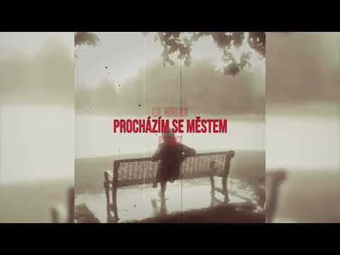 Lil MaluX - Procházím se městem ft. Petriz (OFFICIAL VISUAL)
