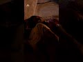 Rashmi Gautam Romance With DJ Tillu Siddhu Gunturtalkies Shorts Youtubeshorts Ytshorts