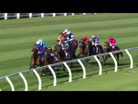 2023 MVRC MOONEE VALLEY W S COX PLATE