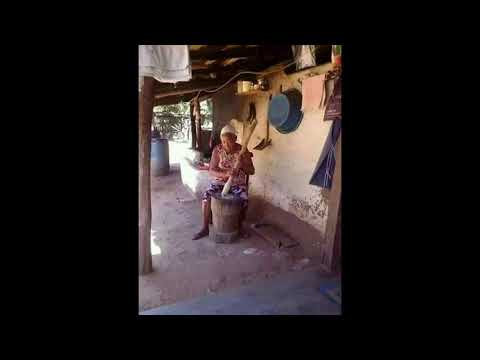 Programa: Caminho da Roça - 16/06/26 - Parte 1 - Apresentação: Paulinho