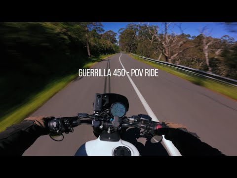 Royal Enfield Guerrilla 450 POV | Twisty Road Flow | ASMR Pure Exhaust with Extra Ambient Footage