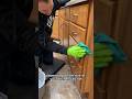 The EASIEST Way to Clean Your Kitchen Cabinets | Day 2 Spring Cleaning Spree 2024 #cleaning #wow