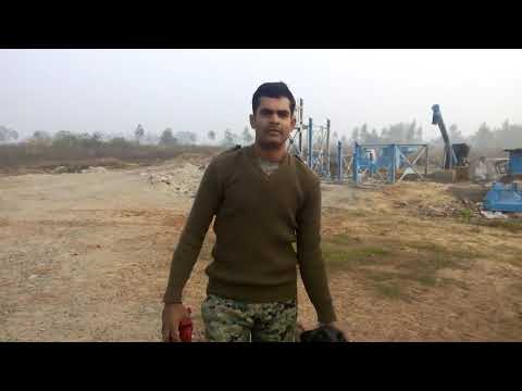 Dog Amoc Belgian shephards