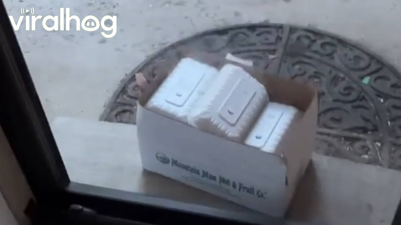 Frustrating Food Delivery Placement || ViralHog