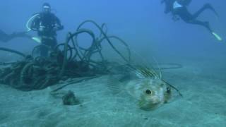 buceo gran canaria | Las Palmas/ Arinaga/ El Cabron - Las Palmas Arinaga Spain foto 3