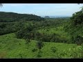 Elephant Sanctuary Brazil-First Phase of Development