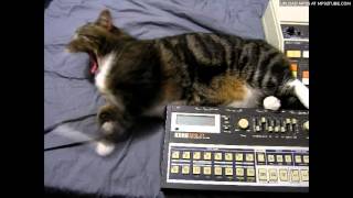 Video thumbnail for Roland CR-8000, Korg KPR-77, Casio CZ-1, Roland VP-70 by acreil