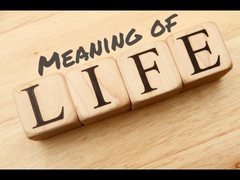 Kuptimi i Jetes - Meaning of Life