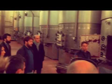 Distilleria Marzadro | Zenzero Café alla scoperta dei nostri prodotti