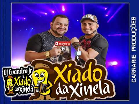 VOÇÊ É MEU SÓCIO (SUCESSO) - XIADO DA XINELA