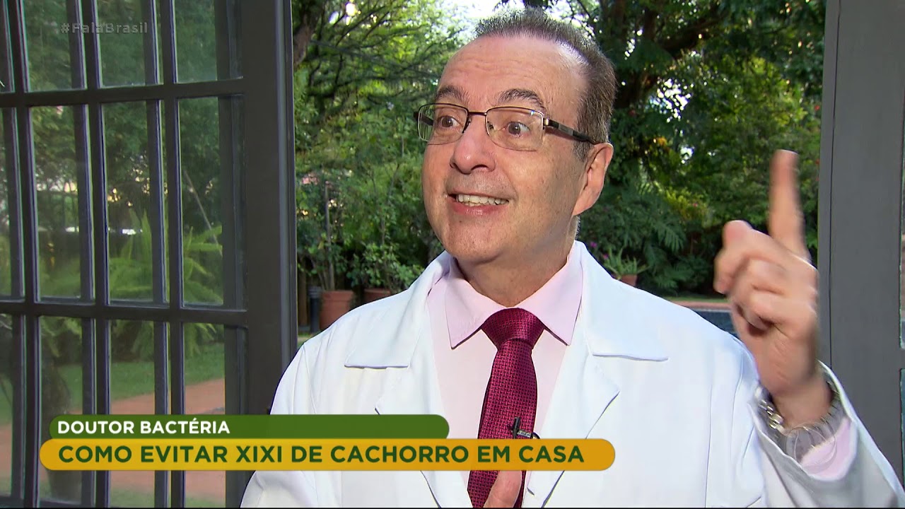 Dr. Bactéria ensina como evitar xixi de cachorro em casa