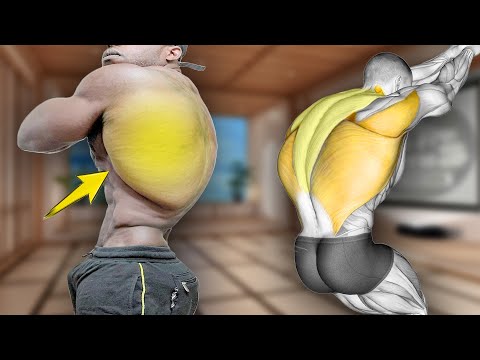 6 Best Exercises to Build a 3D Back